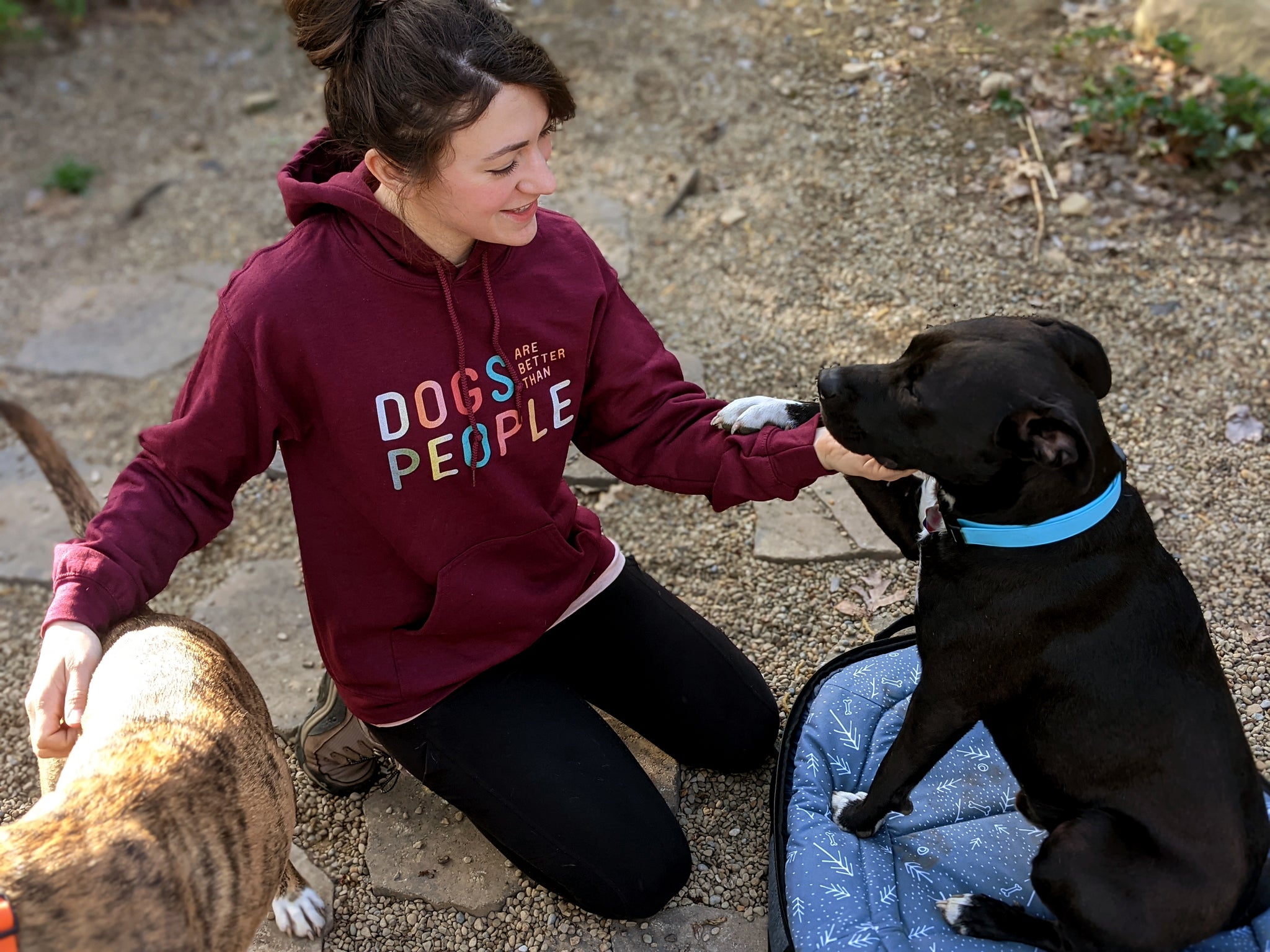 Girl petting dogs wearing Dogs are Better than people sweatshirt