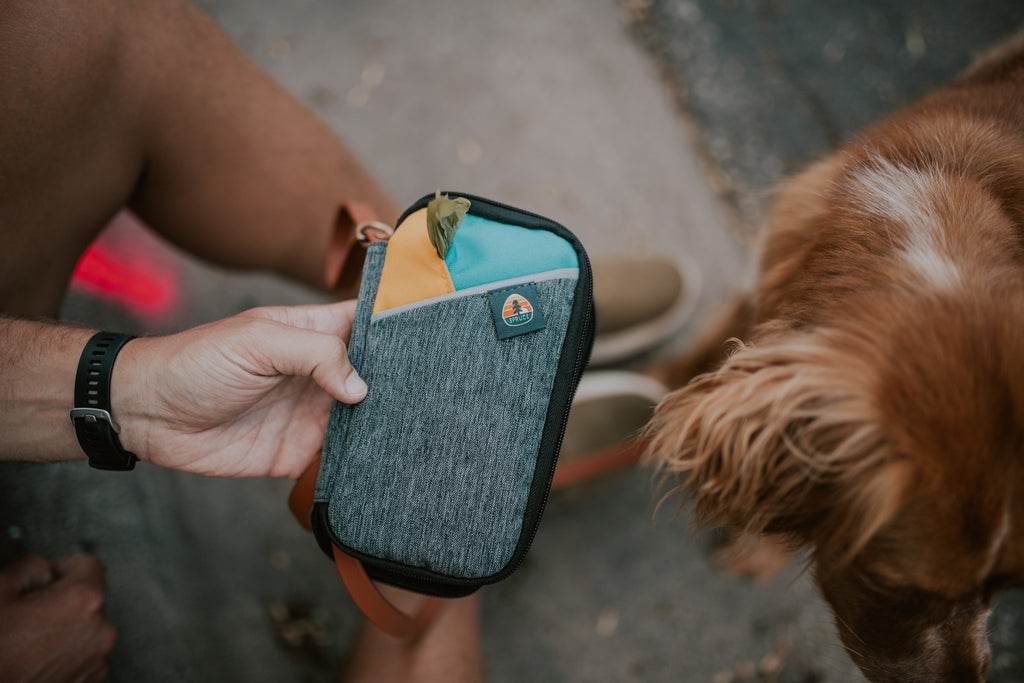 Man and dog using poop bag dispenser on Dog Leash Organizer Bag