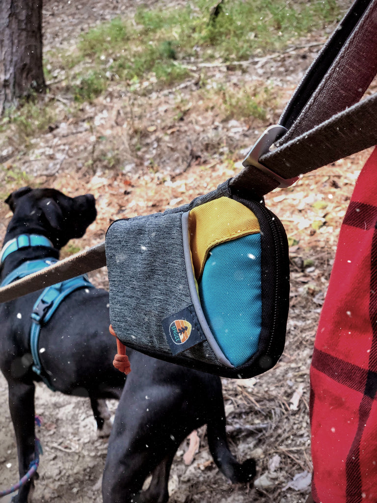 Dog Leash Bag Organizer on a nylon leash being used on a walk with a pup